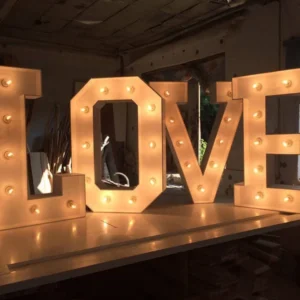 Light Up Letters for Special Occasions